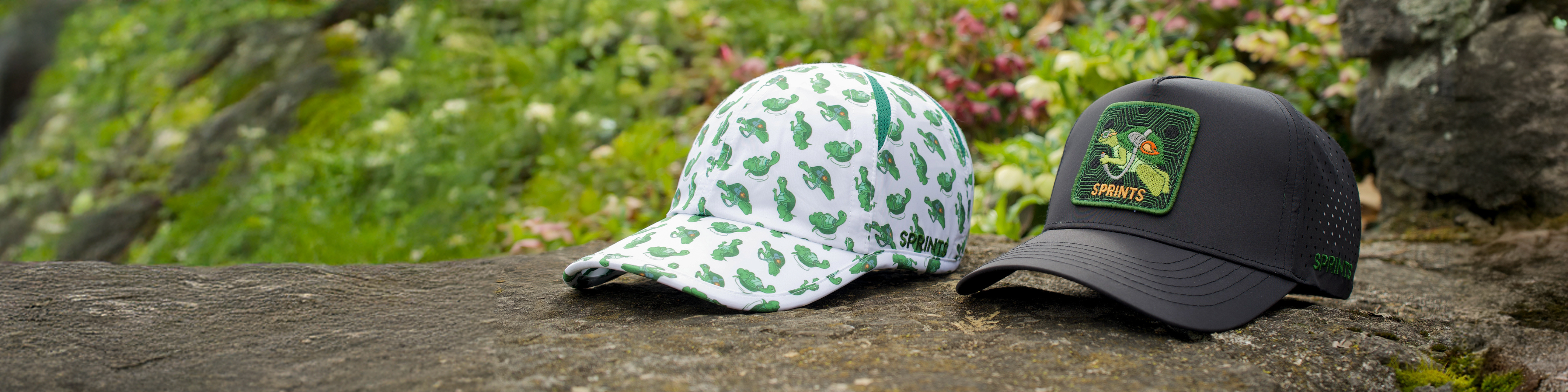 Slow Turtles